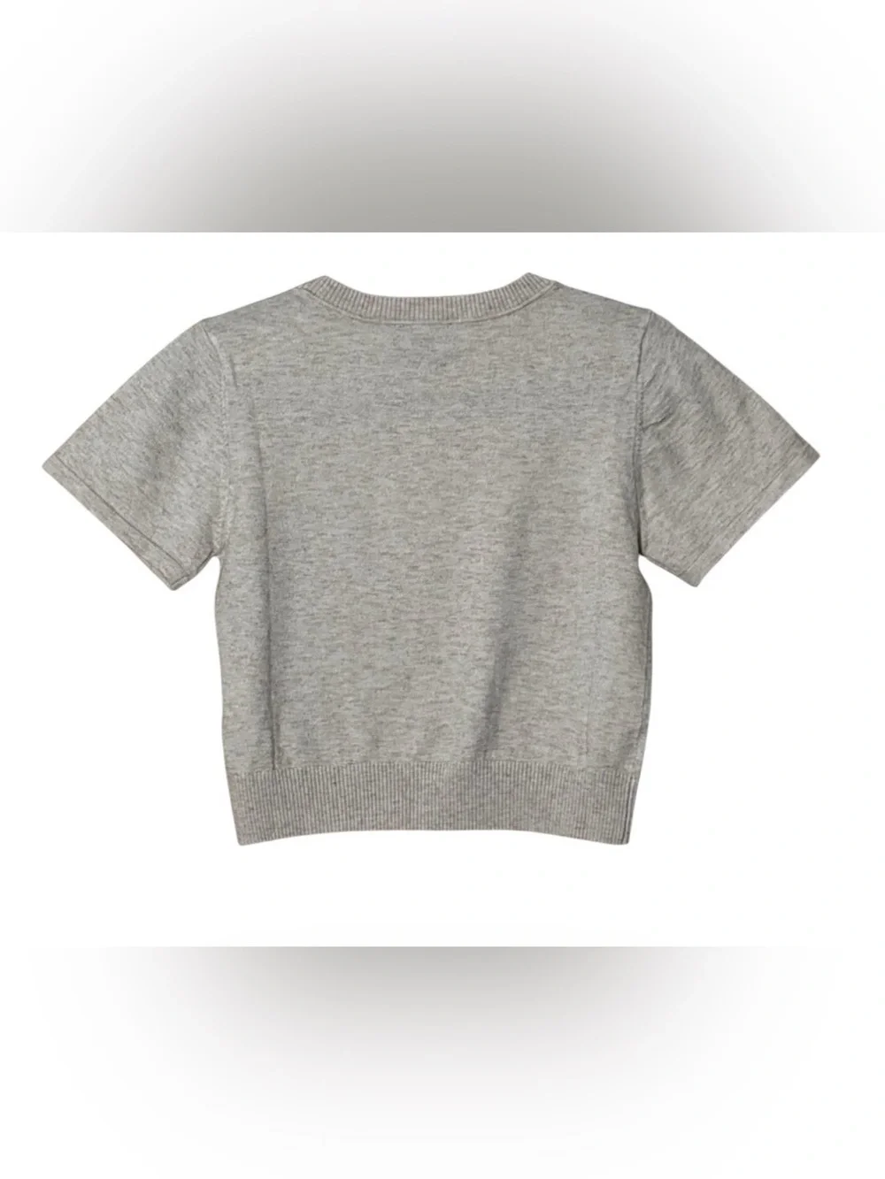 VICI Short Sleeve Knit Crop Top in Oatmeal